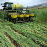 ‘Planting green’ strategy may help farmers deal with wet springs Planting Green