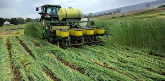 ‘Planting green’ strategy may help farmers deal with wet springs Planting Green