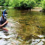 Dive in to escape dog days of summer stream snorkling