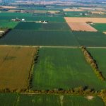 Heat helps corn, but Ohio still last in crop conditions fields