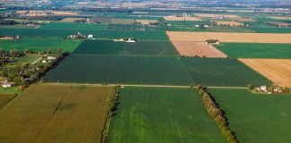 Heat helps corn, but Ohio still last in crop conditions fields