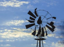 Clark: USDA report flawed, tanks corn rally windmill