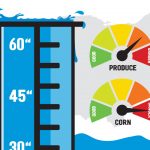 Rainfaill feature photo