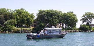 City of Toledo appeals judge’s LEBOR ruling habs-forecast