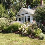 How to improve the way your yard handles heavy rainfall home and garden