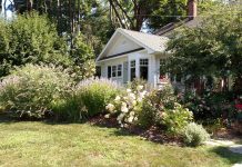 Nominations open for Great American Gardener Awards home and garden