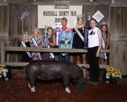 Marshall County Fair grand champion ho