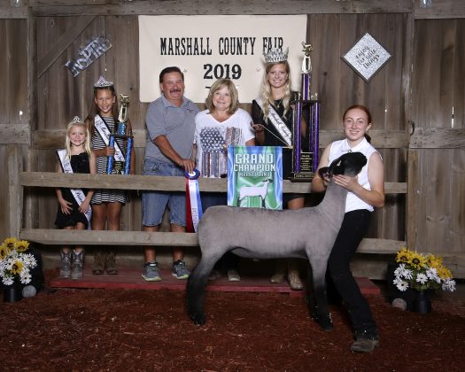 Marshall County Fair grand champion lamb