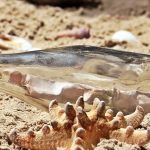 From hot to cold, readers weigh in message in a bottle