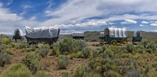 The Oregon Trail, video game style covered wagons