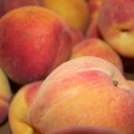 Tour delivers fresh Georgia peaches to Ohio peach truck 4