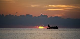 Birds, boats and big adventure sunset over water