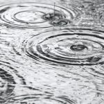 Farmers, let’s get out of our comfort zones rain falling