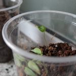 School science fairs challenge youth science project