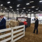 Dean’s first charity steer show raises over $146,000 OSU Celebrity Steer Show