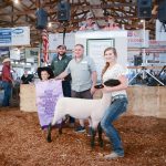 Butler County Fair Reserve Champion Lamb