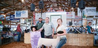 Butler County Fair Reserve Champion Lamb