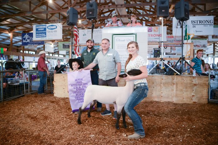 Butler County Fair Reserve Champion Lamb Butler County Fair Reserve Champion Lamb