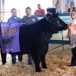 2019 Carroll County Fair sale totals $329,122.60 2019 Carroll County Fair Sale Grand Champion Steer