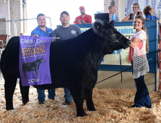 2019 Carroll County Fair Sale Grand Champion Steer
