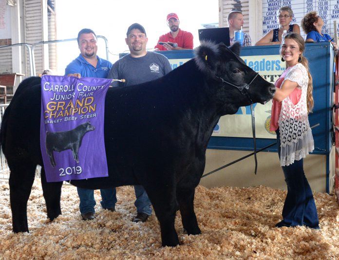 2019 Carroll County Fair Sale Grand Champion Steer 2019 Carroll County Fair Sale Grand Champion Steer