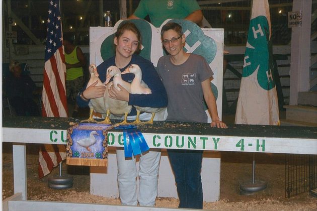 Cuyahoga County Fair Grand Champion Ducks