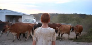 Farmsteaders film offers honest look at Ohio dairy farm farmsteaders