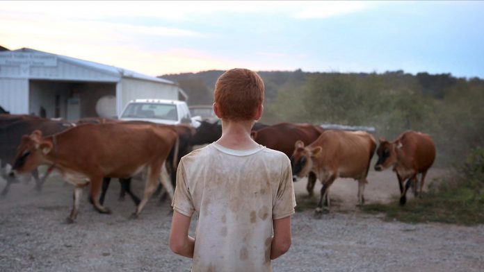 Farmsteaders_Film_Still_3 farmsteaders