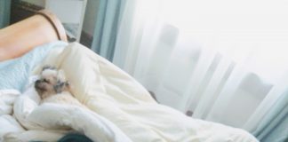 Early to bed, early(ish) to rise Kym Seabolt's dogs and cat snuggled in bed