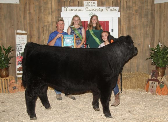 Monroe County Fair Reserve Champion Steer