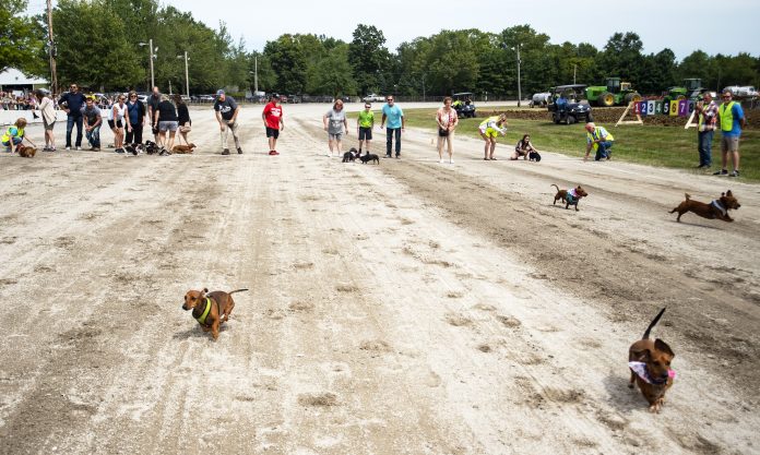 Canfield Fair canfield fair