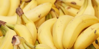 Is there money in the banana stand? bananas