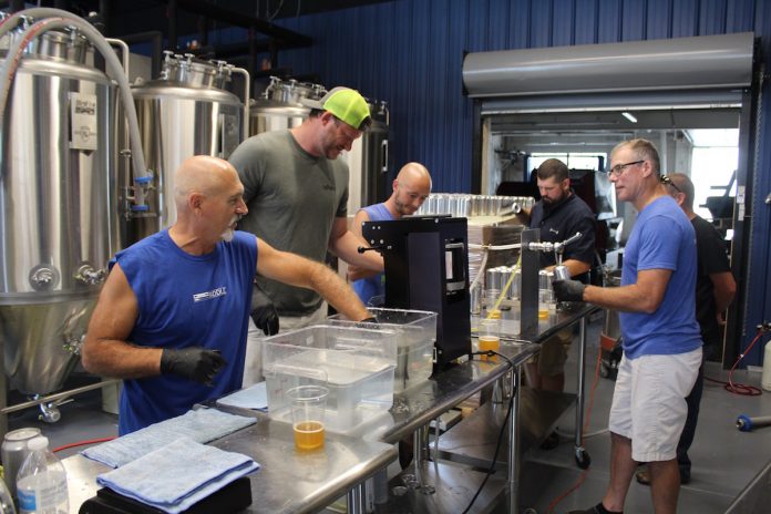 birdfish-brewing birdfish canning beer