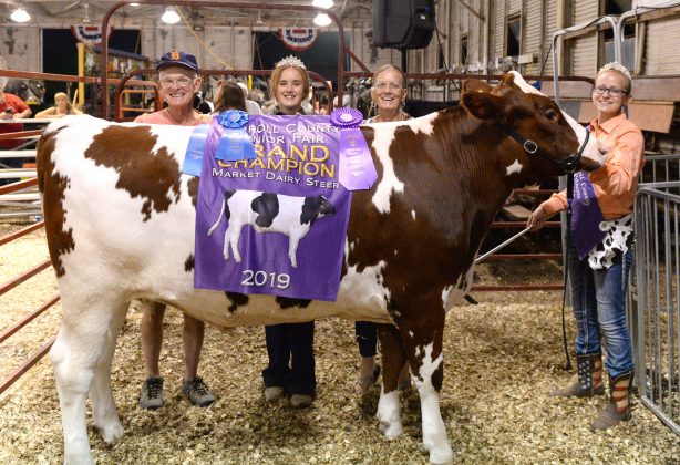 2019 Carroll County Fair Sale Grand Champion Dairy Market Steer