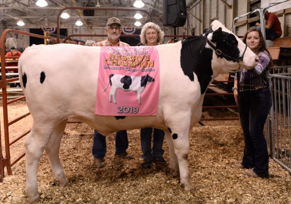 2019 Carroll County Fair Sale Reserve Champion Dairy Market Steer