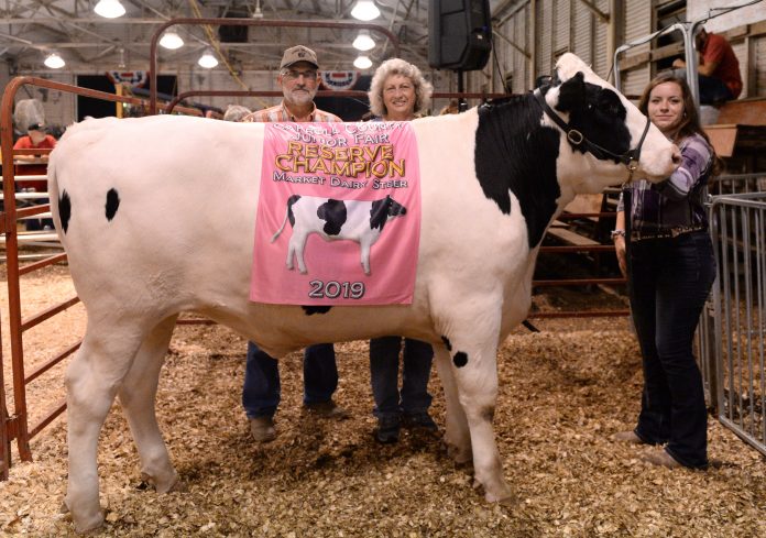 2019 Carroll County Fair Sale Reserve Champion Dairy Market Steer 2019 Carroll County Fair Sale Reserve Champion Dairy Market Steer
