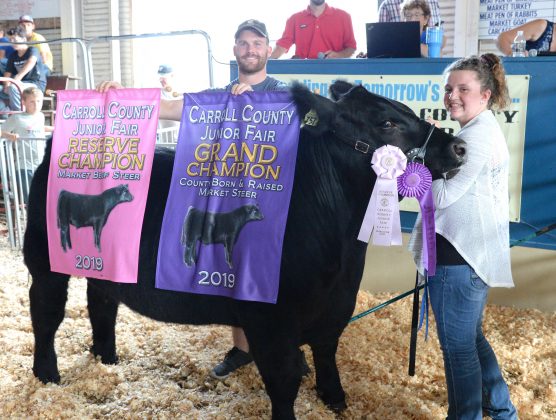 2019 Carroll County Fair Sale Reserve Champion Steer