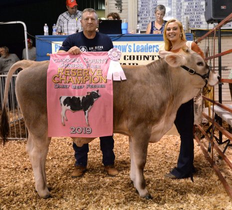 2019 Carroll County Fair Sale Reserve Champion Dairy Beef Feeder