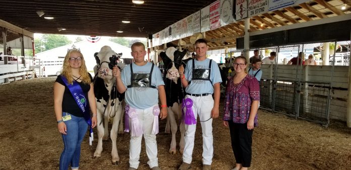 Columbiana County Dairy Show