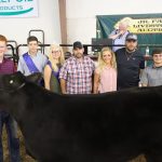 2019 Columbiana County Fair sale totals $741,172.35 2019 Columbiana County Fair Grand Champion Steer