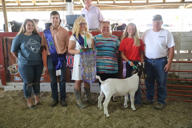 2019 Columbiana COunty Fair Reserve Champion Boer Goat