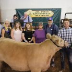 Columbiana, Carroll counties cancel fairs 2019 Columbiana County Fair Reserve Champion Steer