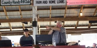 Madison Cope in sale ring