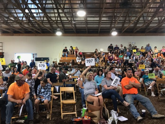 erie-livestock-auction bidders numbers erie county fair