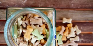 dog treats