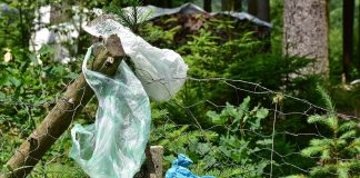 Consider the negative impact of litter Noble Soil and Water Conservation District ag and natural resource technician Kirstin Roman outlines the negative impacts of litter.