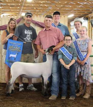 The grand champion lamb sold to D&E Electric for $6.75 per pound. Phillip Kellar exhibited the lamb.