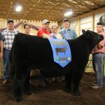 2019 Harrison County Fair totals $410,378 Phillip Kellar’s grand champion market steer sold to D&J Sales and Service and Paris and Washington Insurance for $5 per pound.