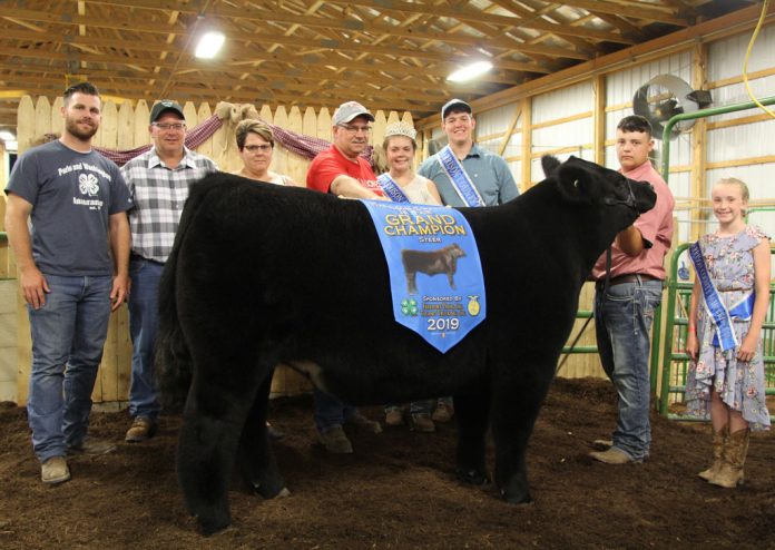 grand-champion-steer Phillip Kellar’s grand champion market steer sold to D&J Sales and Service and Paris and Washington Insurance for $5 per pound.