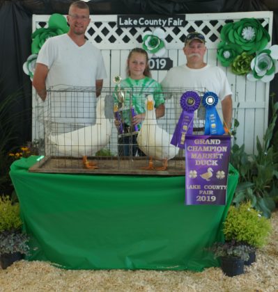 2019 Lake County Fair Grand Champion Ducks